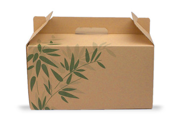 Take Away box mit Handgriff klein