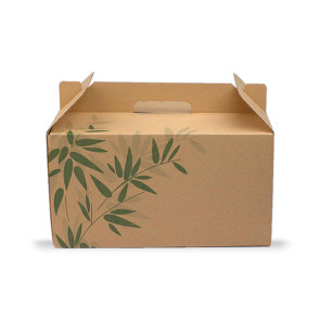 Take Away box mit Handgriff klein